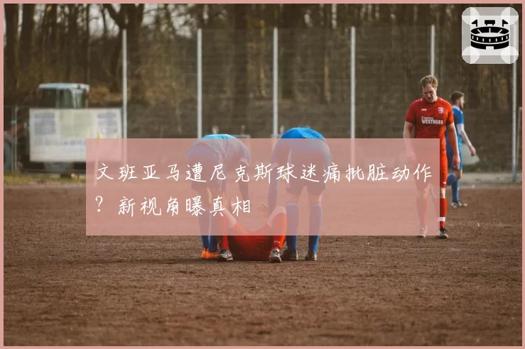 文班亚马遭尼克斯球迷痛批脏动作?新视角曝真相