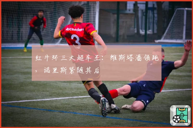 红牛环三大超车王:维斯塔潘领跑,诺里斯紧随其后